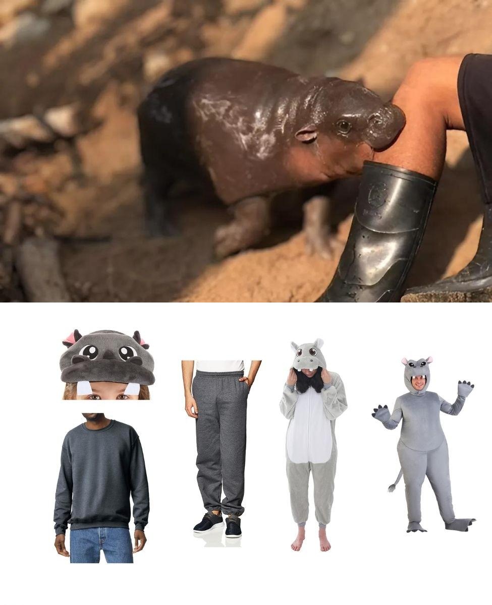 Moo Deng DIY Costume Guide: Easy and Cozy Ideas 1 Moo Deng DIY Costume Guide: Easy and Cozy Ideas