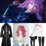 Marluxia Kingdom Hearts Cosplay Guide: The Graceful Dahlia