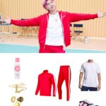 BTS RM Butter Cooler Remix Costume Guide